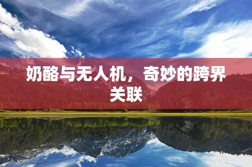 奶酪与无人机，奇妙的跨界关联