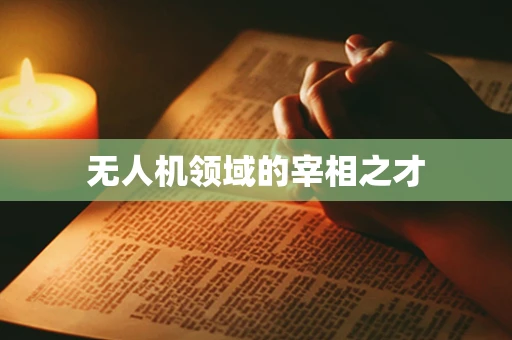 无人机领域的宰相之才 无人机领域的宰相之才