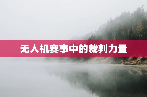 无人机赛事中的裁判力量