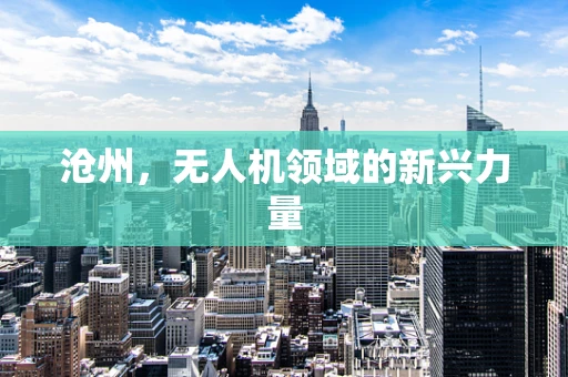 沧州，无人机领域的新兴力量