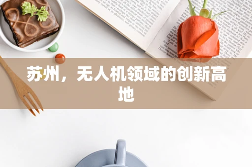 苏州，无人机领域的创新高地