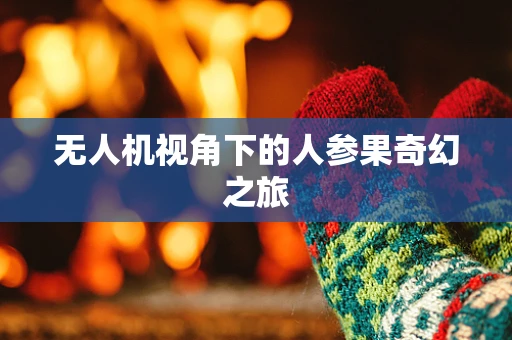 无人机视角下的人参果奇幻之旅