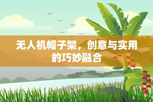 无人机帽子架，创意与实用的巧妙融合