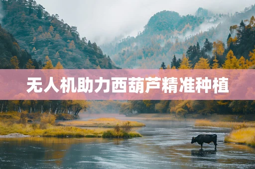 无人机助力西葫芦精准种植